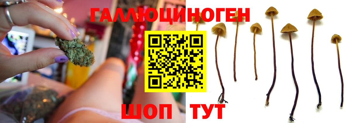 Галлюциногенные грибы MAGIC MUSHROOMS Ступино